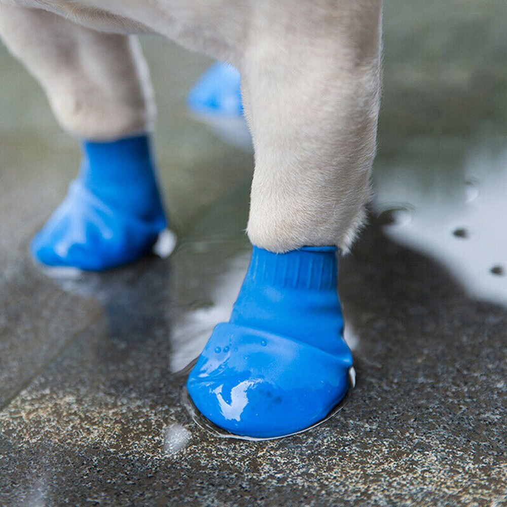 Chaussette Silicone Chien