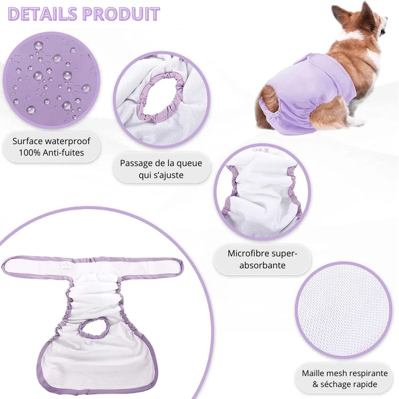 Couche pour Chien Règle / Incontinence