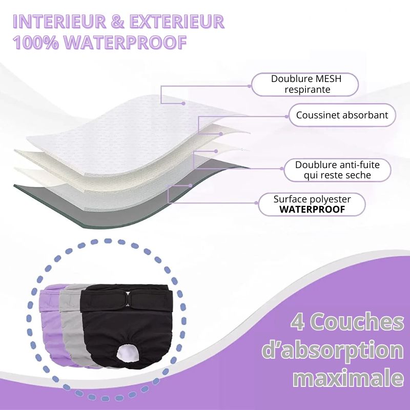 Couche pour Chien Règle / Incontinence