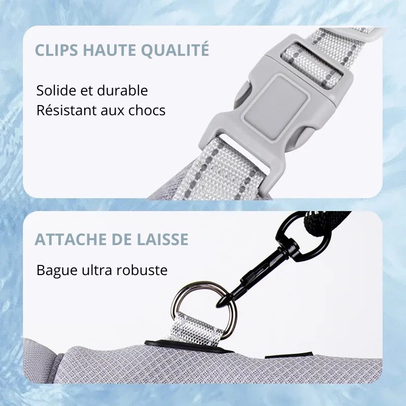 Gilet Veste Fraîcheur pour Chien