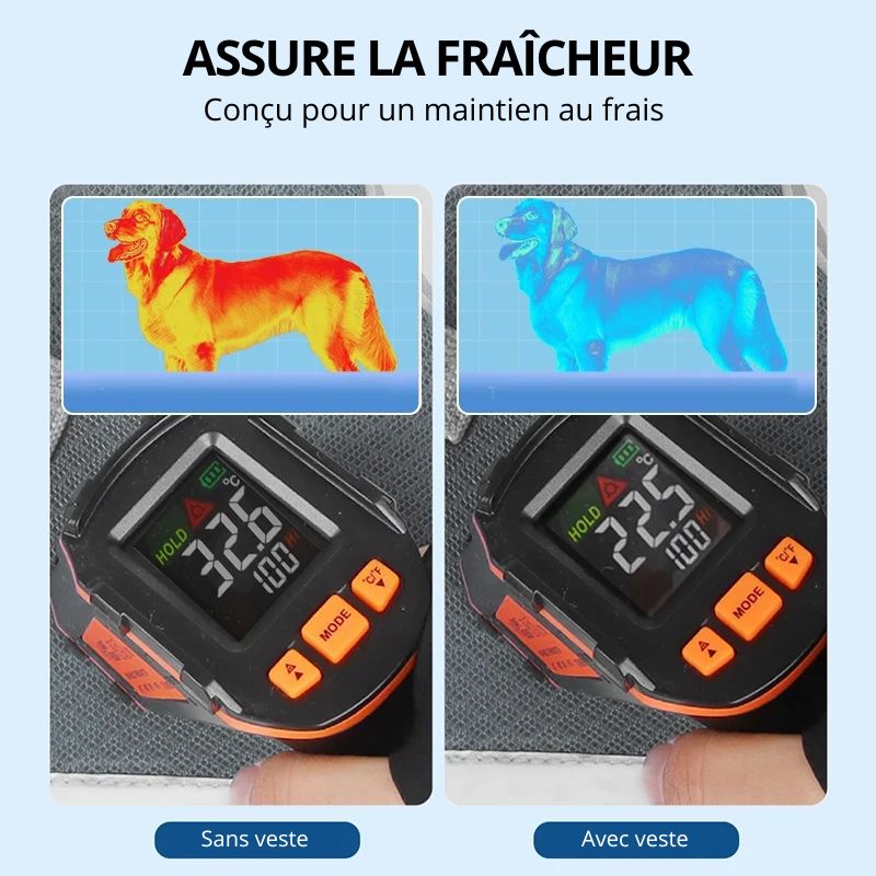 Gilet Veste Fraîcheur pour Chien