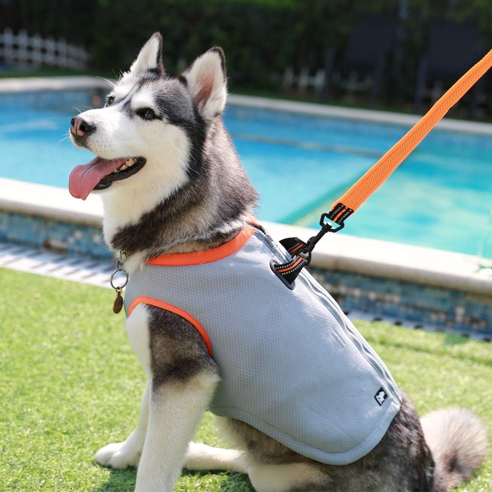 Manteau Chien Rafraîchissant