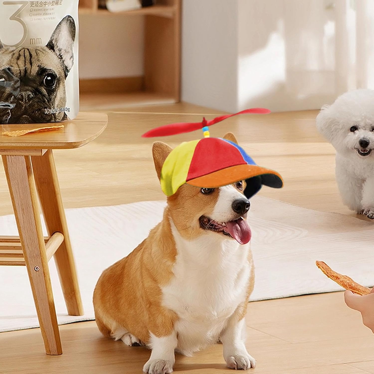 Casquette Chien Hélice