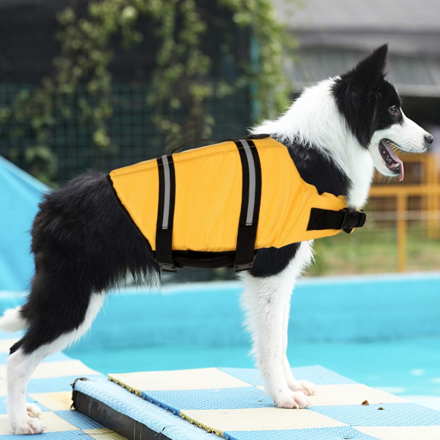 Gilet Sauvetage Chien Eau - XXS à XXL