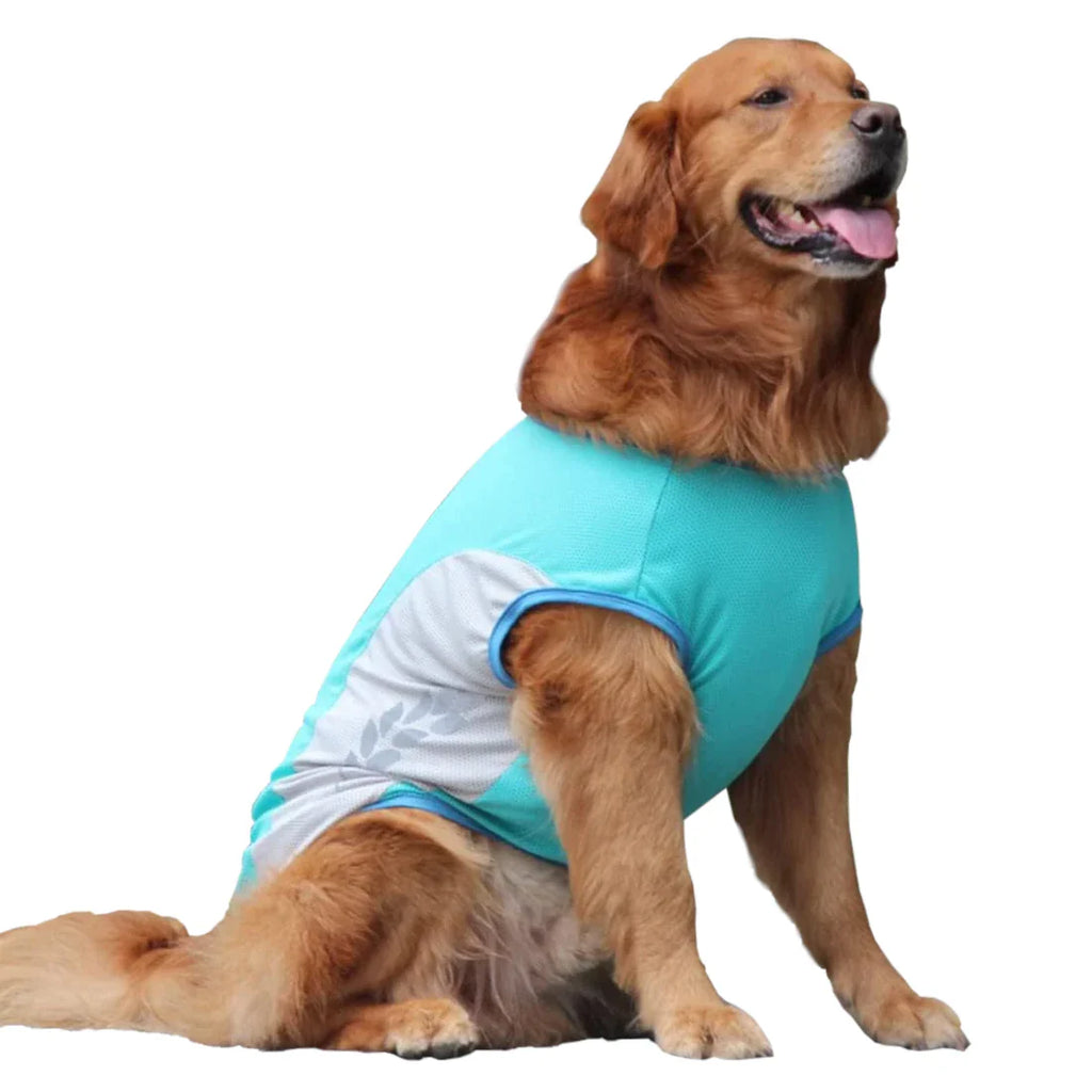 Gilet Rafraîchissant pour Grand Chien