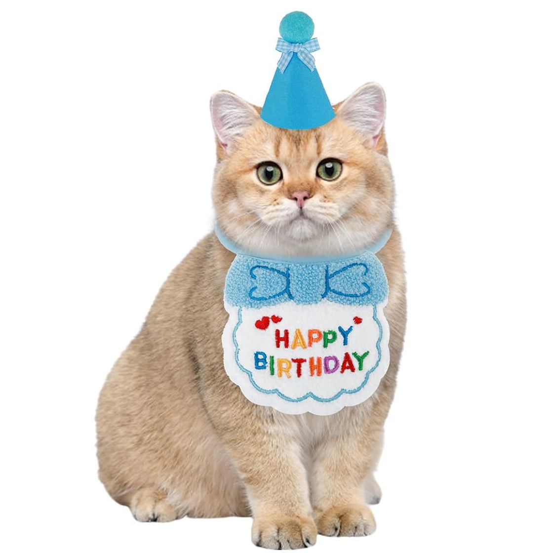 Chapeau Anniversaire Chat