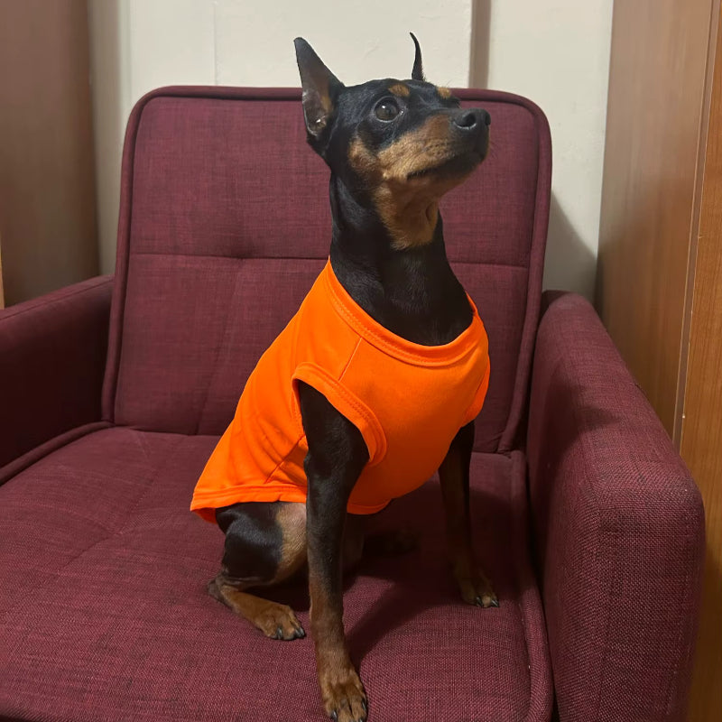 T-Shirt Sans Manches Chien