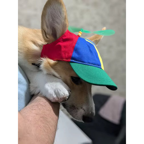 Casquette Chien Hélice