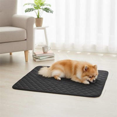 Alese lavable chien (lot de 2) - TapisToutou™