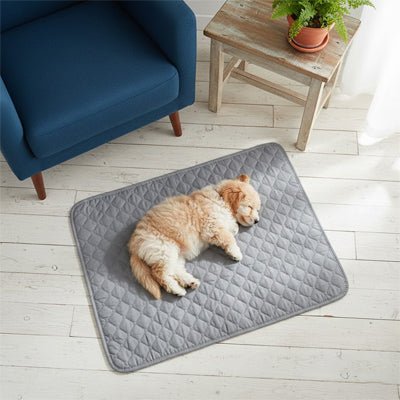 Alese lavable chien (lot de 2) - TapisToutou™