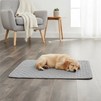 Alese lavable chien (lot de 2) - TapisToutou™