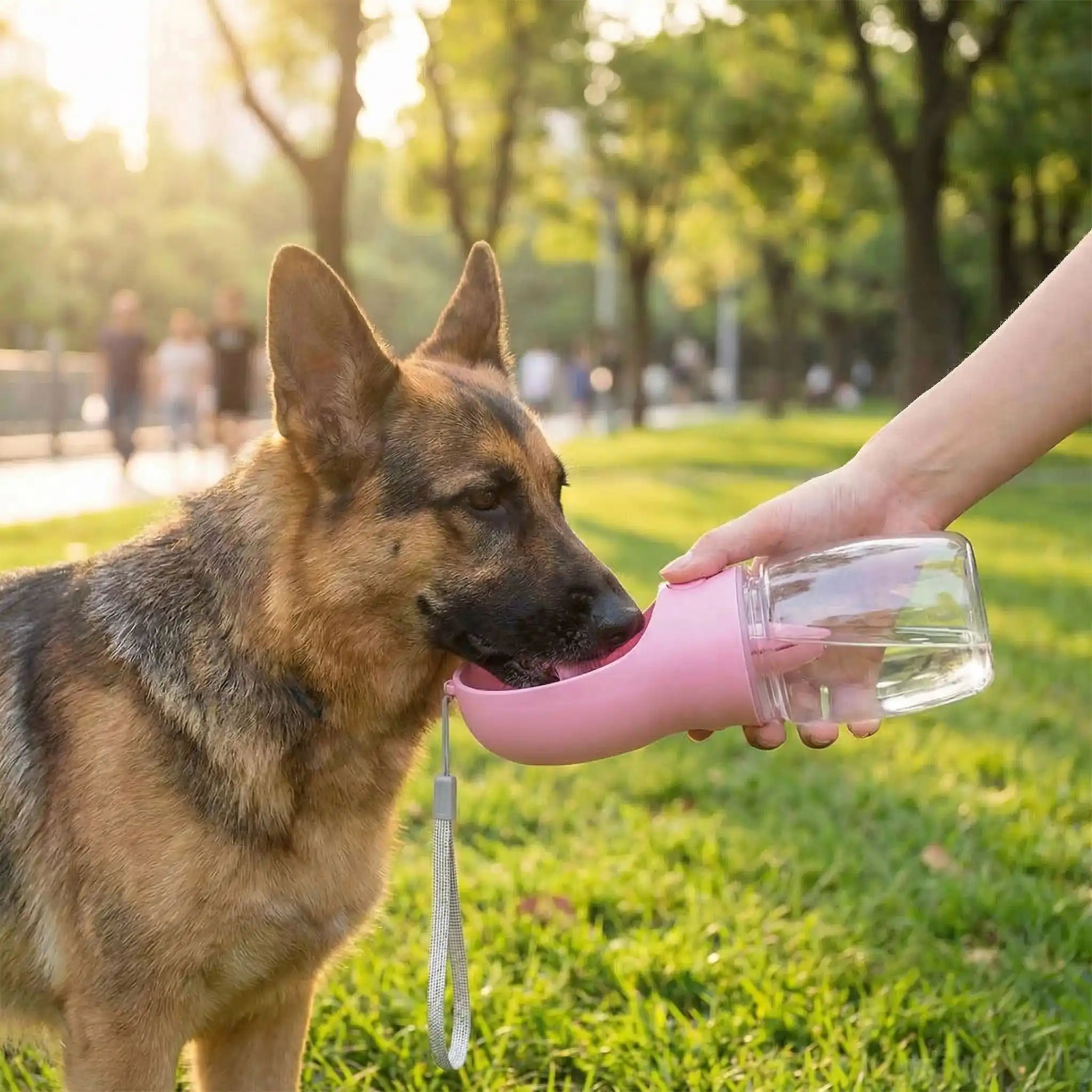 Bouteille d'eau pour chien - DistribToutou™