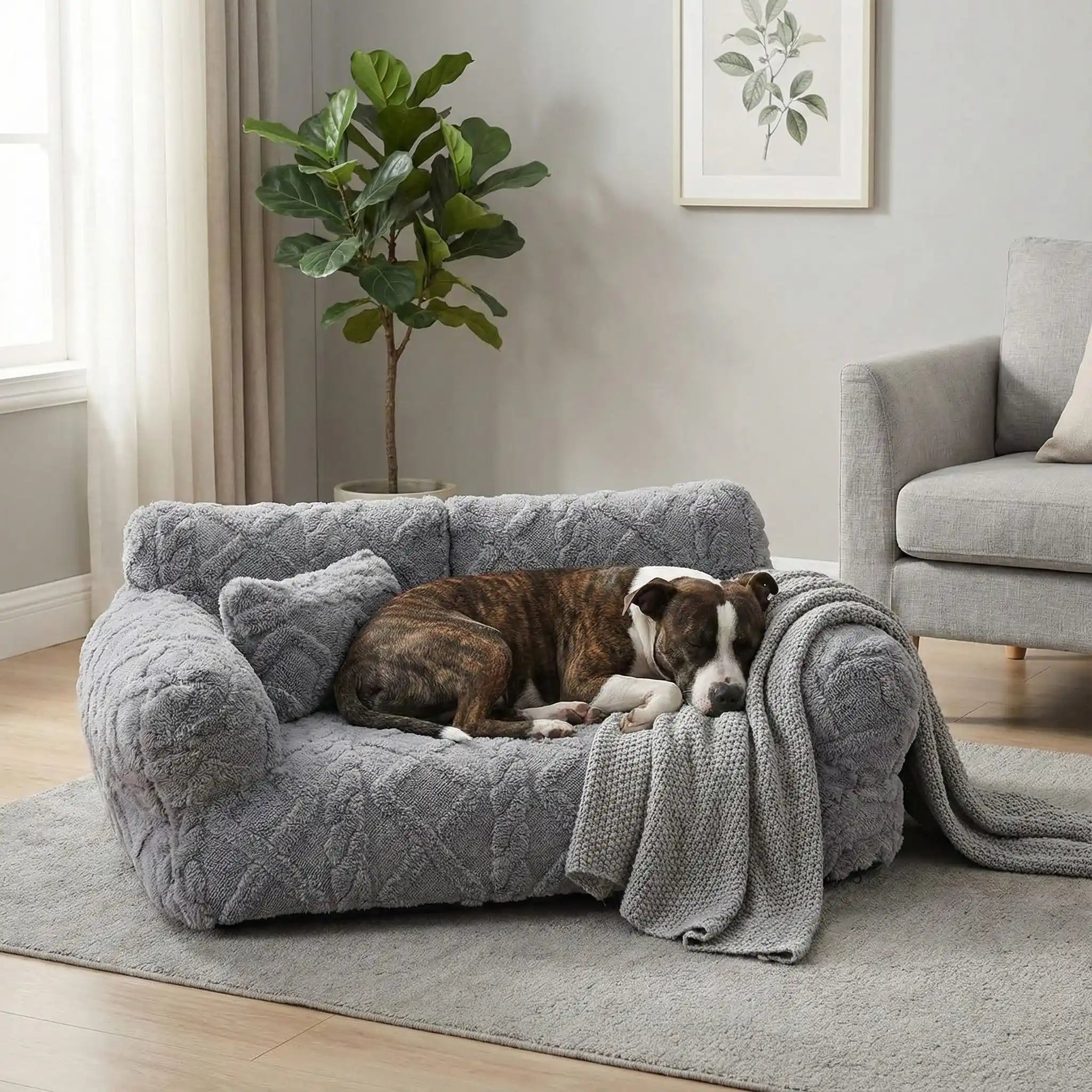 Canape chien - DéhoussableToutou™