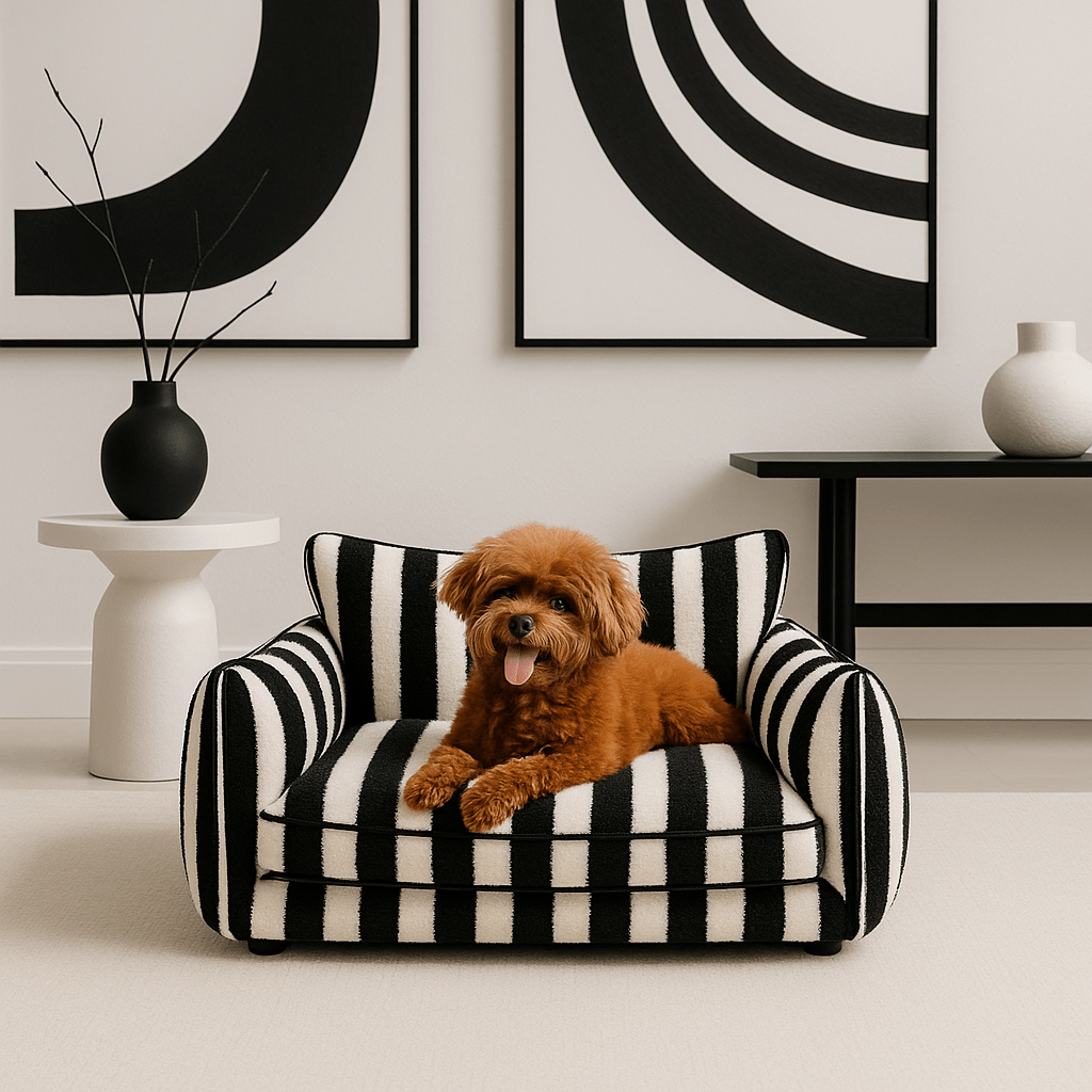 Canapé chien - OrthopédiqueToutou™