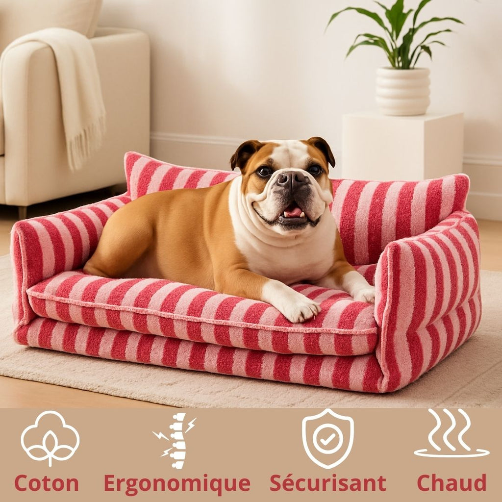 Canapé chien - OrthopédiqueToutou™