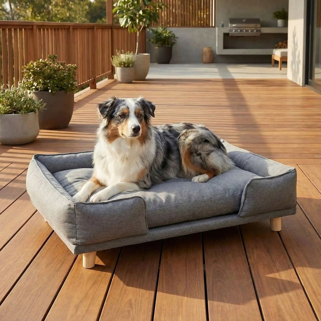 Canapé lit pour chien - DesignToutou™