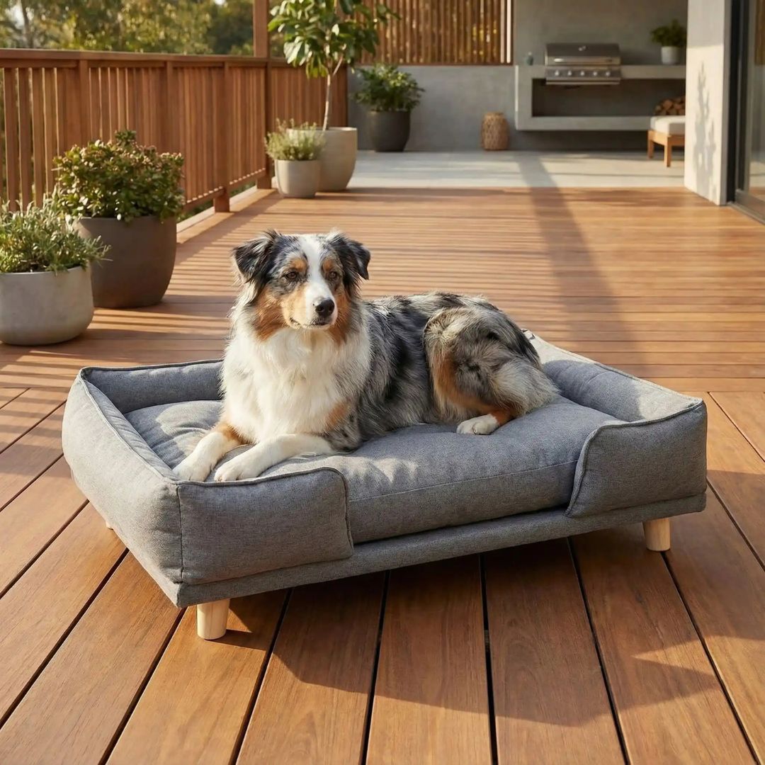 Canapé lit pour chien - DesignToutou™