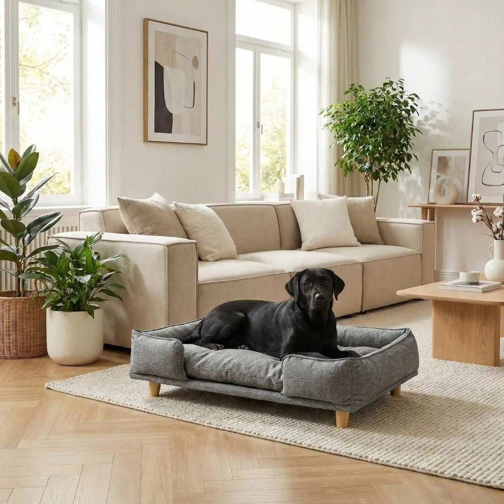 Canapé lit pour chien - DesignToutou™
