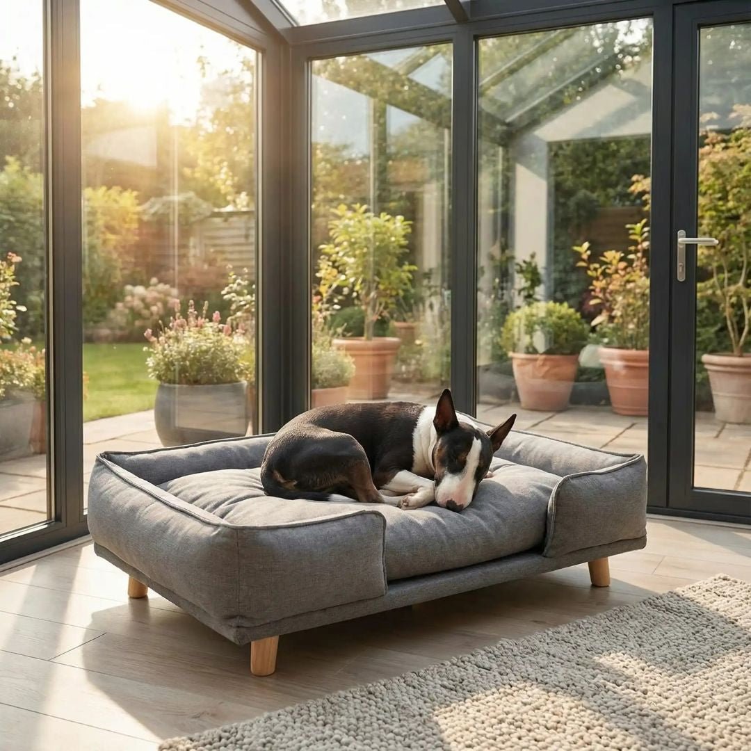 Canapé lit pour chien - DesignToutou™