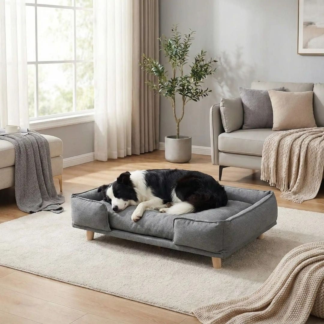 Canapé lit pour chien - DesignToutou™