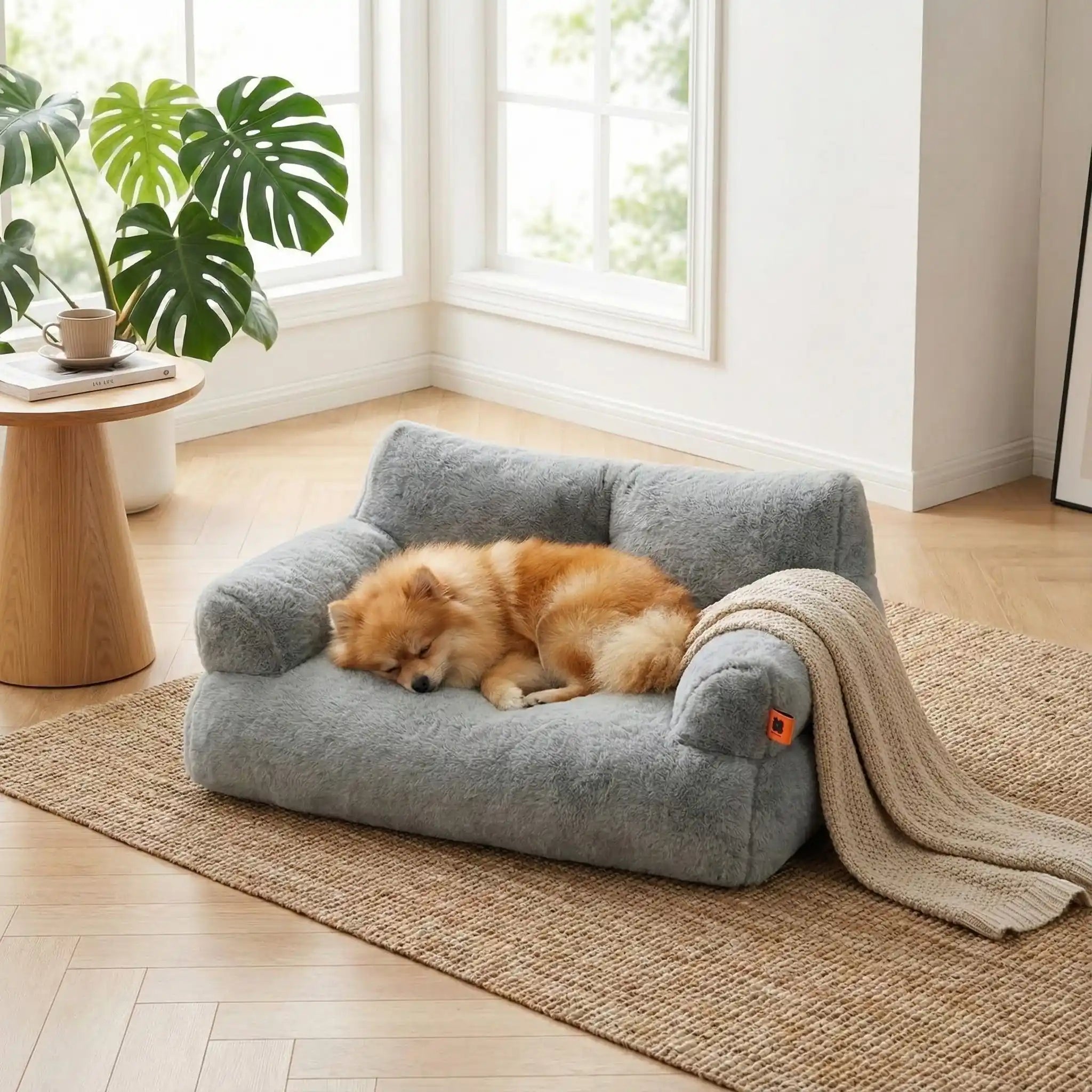 Canapé petit chien - DouilletToutou™