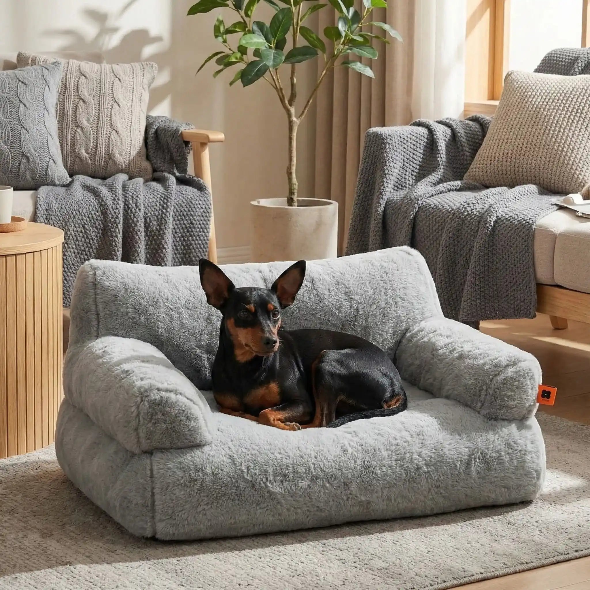 Canapé petit chien - DouilletToutou™