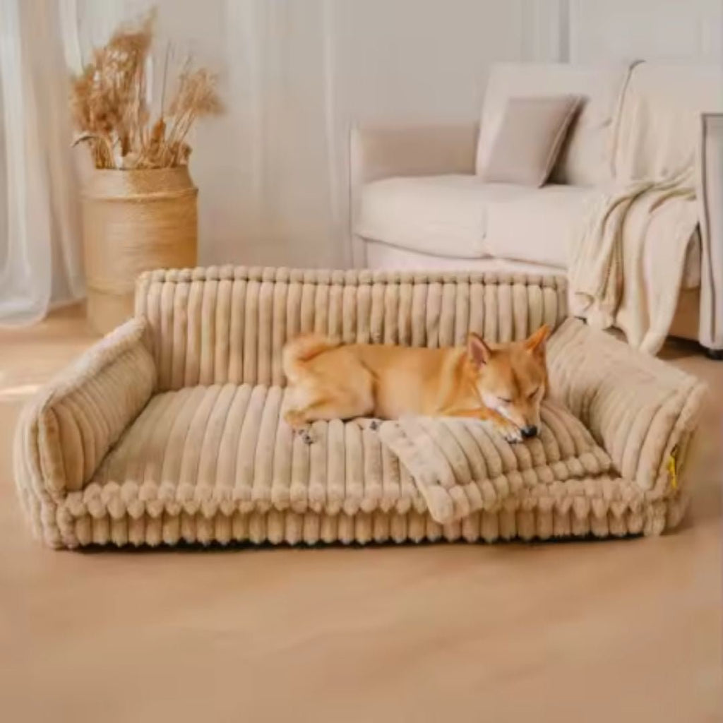 Canapé pour chien - DéhoussableToutou™