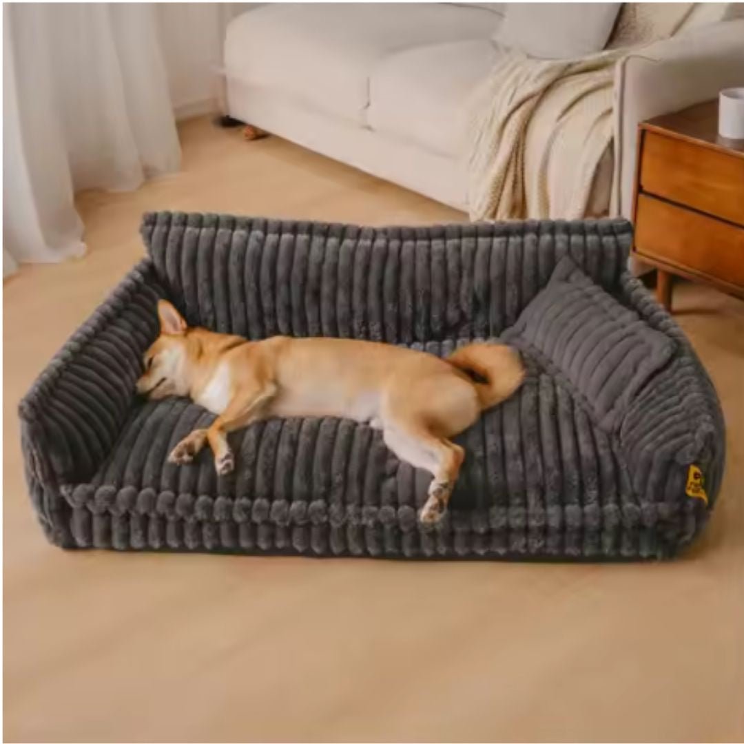 Canapé pour chien - DéhoussableToutou™