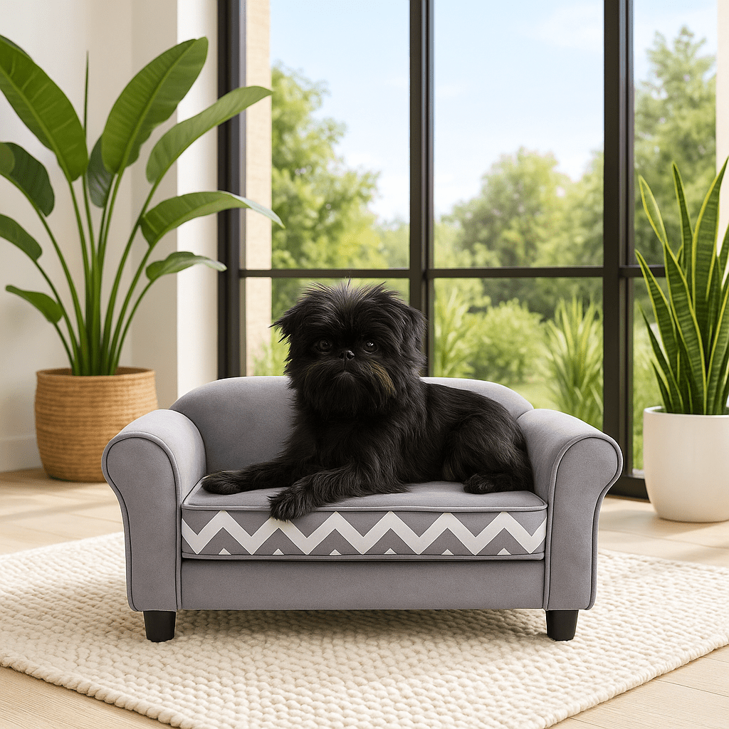 Canapé pour petit chien - MiniToutou™