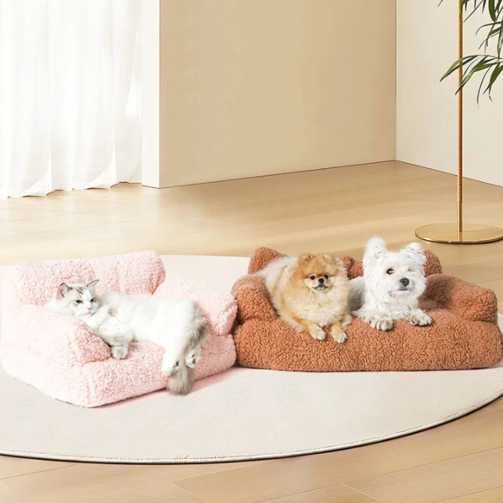 Canapés pour chiens - XXLToutou™