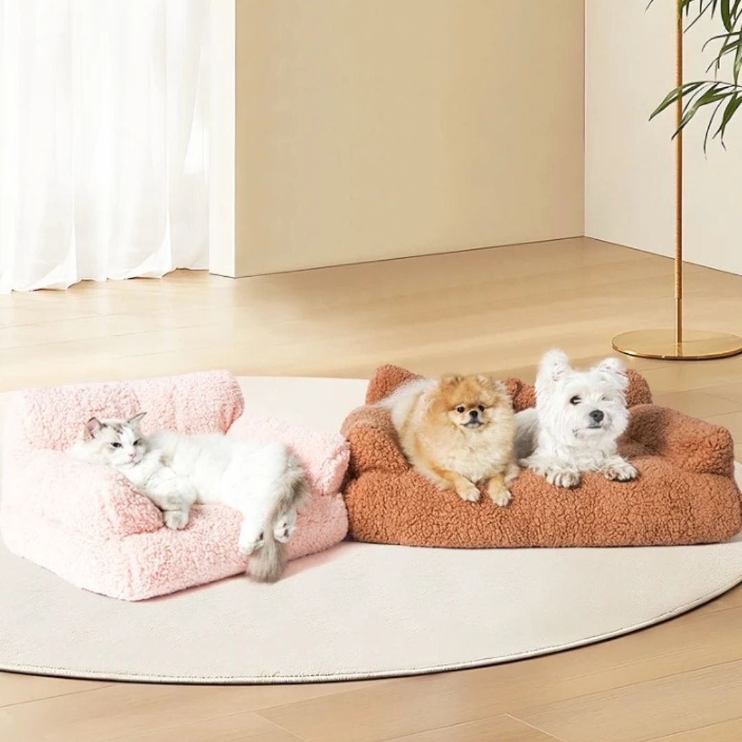 Canapés pour chiens - XXLToutou™