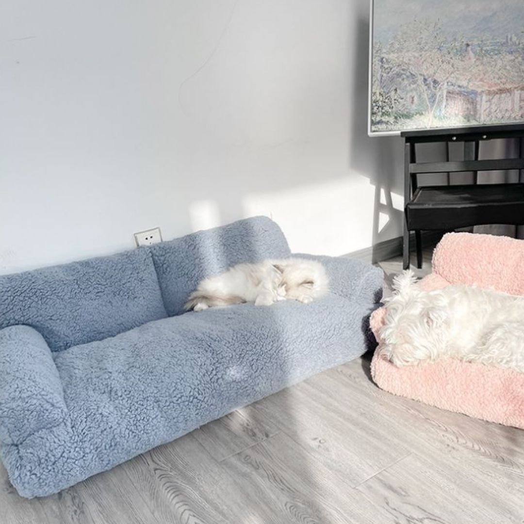 Canapés pour chiens - XXLToutou™