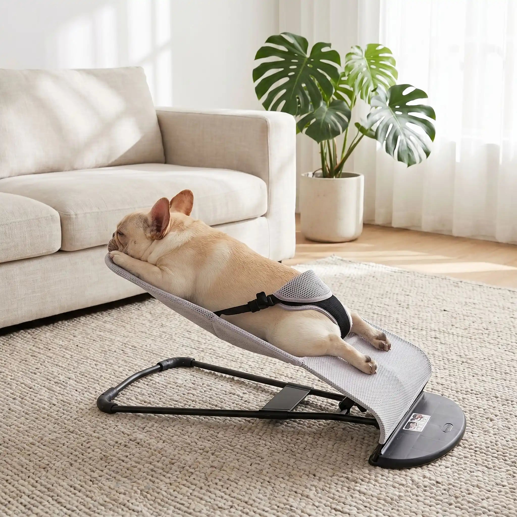 Chaise a bascule pour chien - PetitToutou™