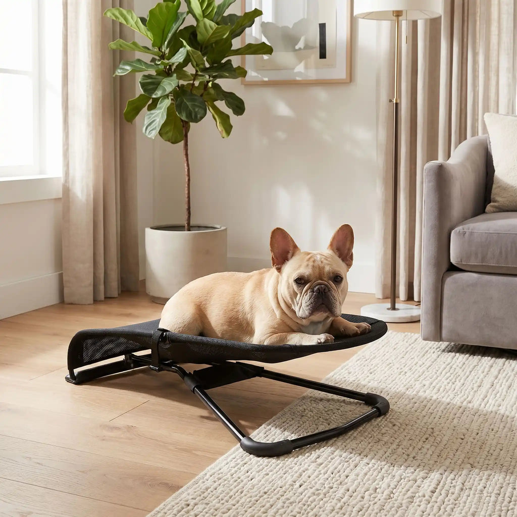 Chaise a bascule pour chien - PetitToutou™