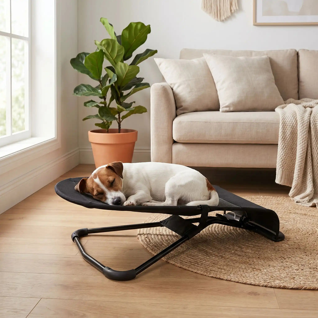Chaise a bascule pour chien - PetitToutou™