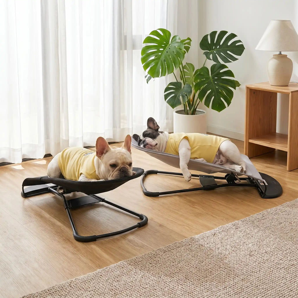 Chaise a bascule pour chien - PetitToutou™