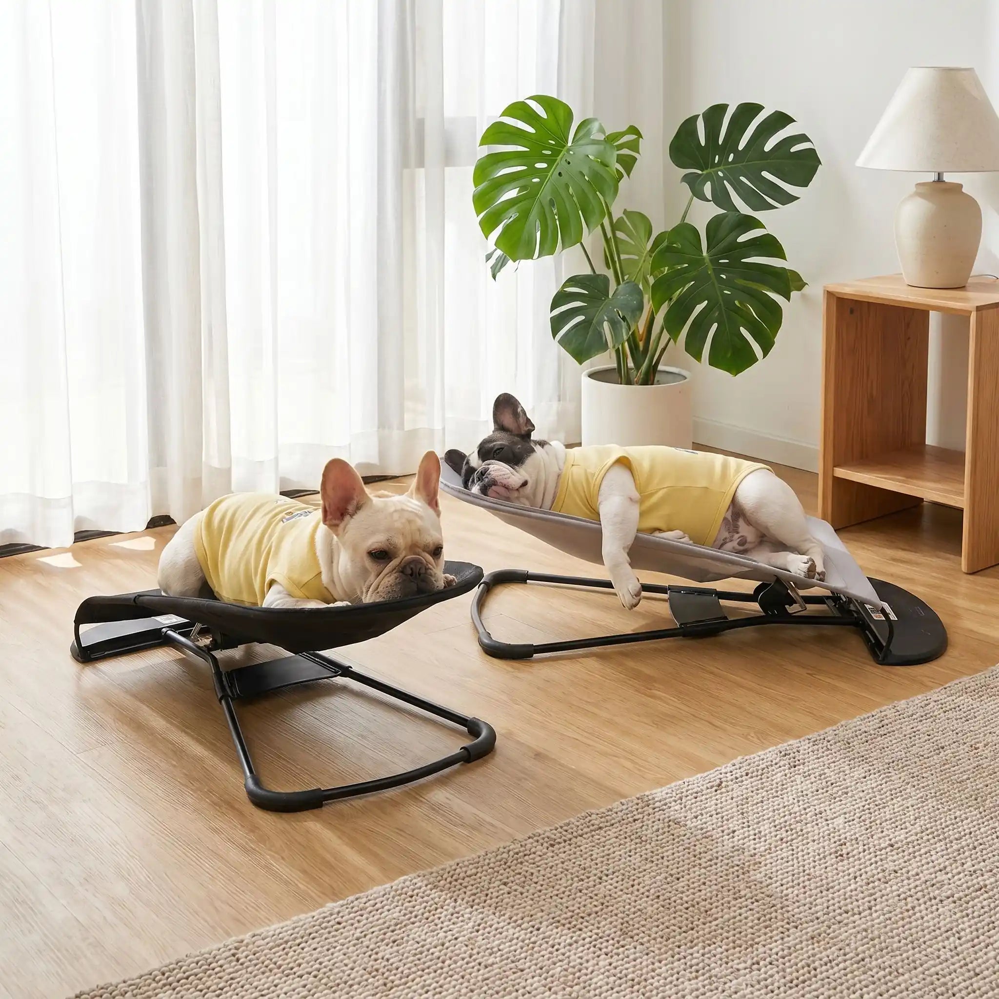 Chaise a bascule pour chien - PetitToutou™