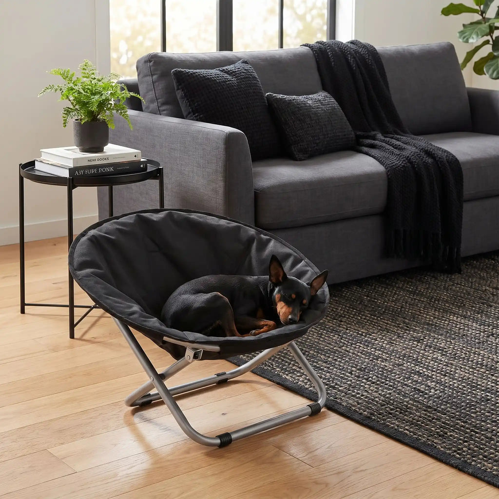 Chaise pour chien - HamacToutou™