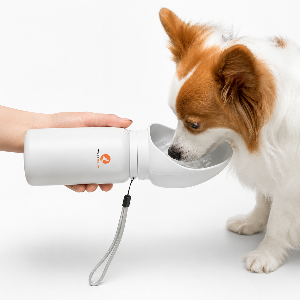 Gourde Portable WuffMeow™ pour Chiens & Chats