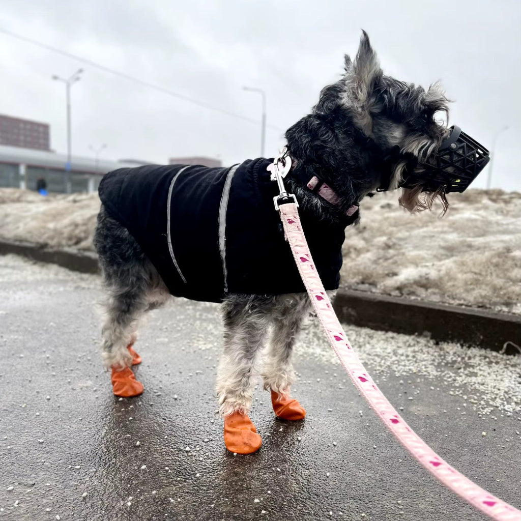 Chaussette Silicone Chien