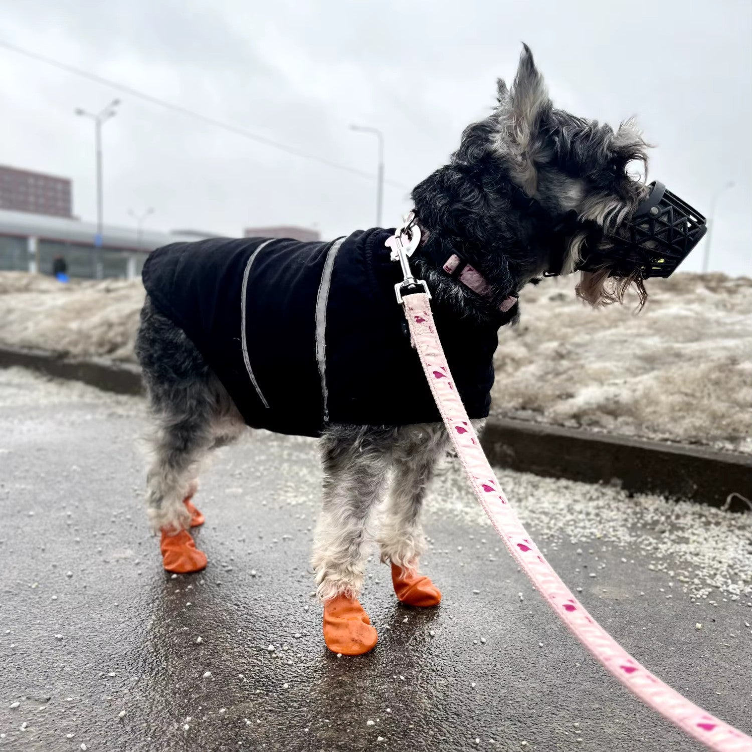 Chaussette Silicone Chien