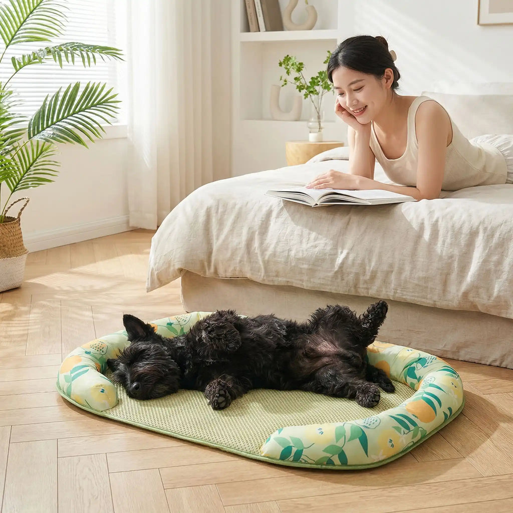 Chien tapis rafraichissant - CoussinToutou™