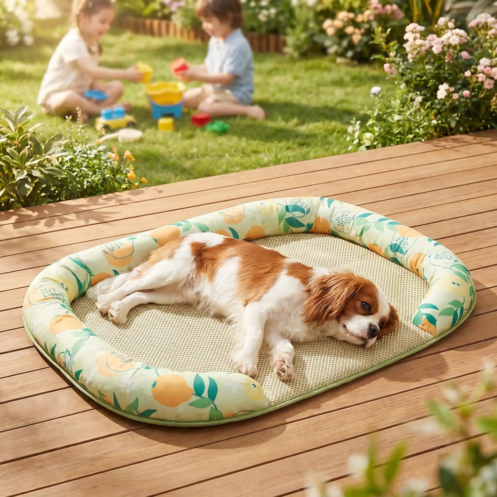 Chien tapis rafraichissant - CoussinToutou™
