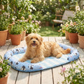 Chien tapis rafraichissant - LitToutou™