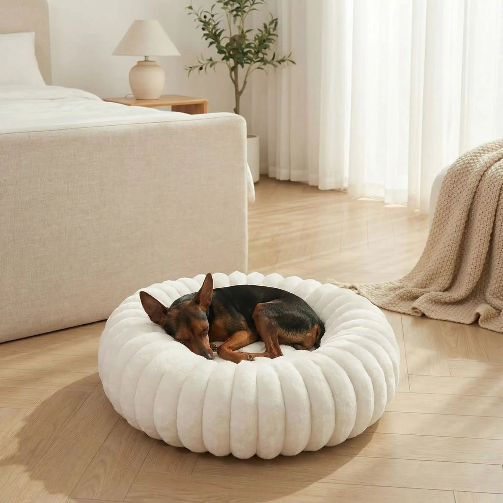 Coussin anti stress chien - CoconToutou™