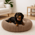 Coussin-anti-stress-chien-chiot-lavable en machine-rembourrage 100% coton haute densité-ergonomique-épais-antidérapant-housse ultra-douce en velours-résistant aux griffes-design-un petit chien couché confortablement et détendu dans son lit rond avec rebord surélevé entourant et sécurisant anti-anxiété pour chien de petite taille de couleur marron sur le sol du salon de l'appartement