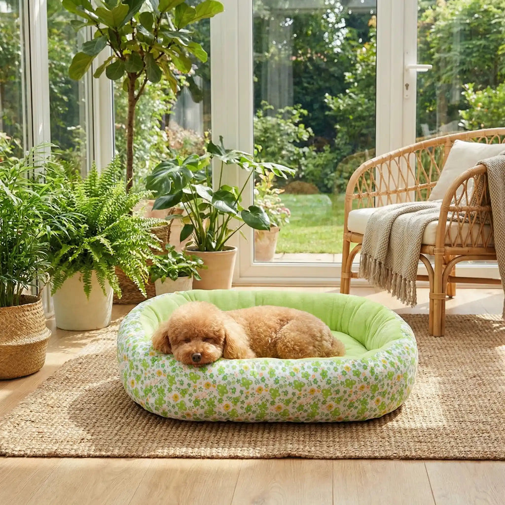 Coussin anti stress chien - FloralToutou™
