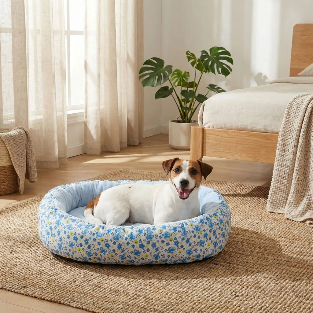 Coussin anti stress chien - FloralToutou™