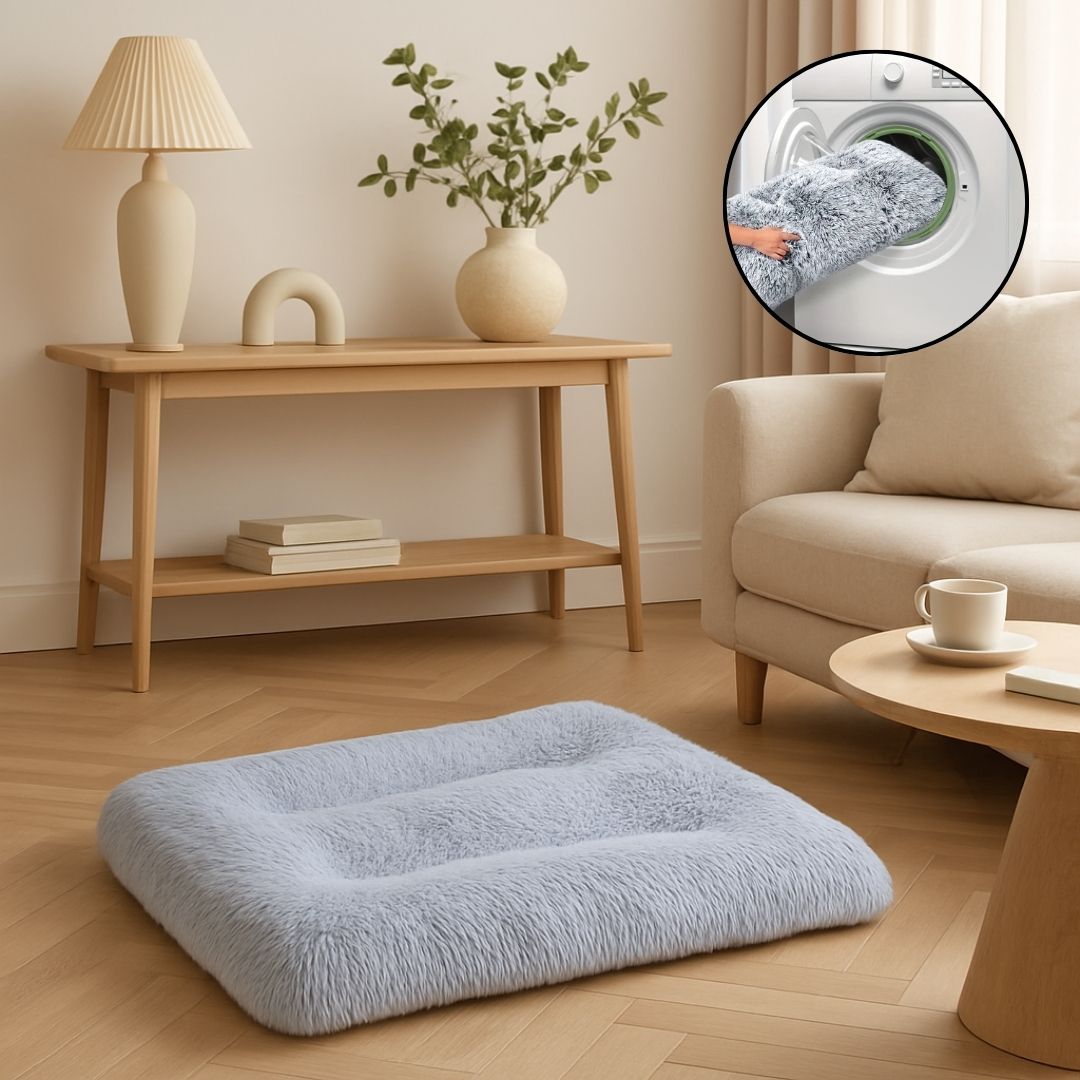 Coussin chien - TapisToutou™