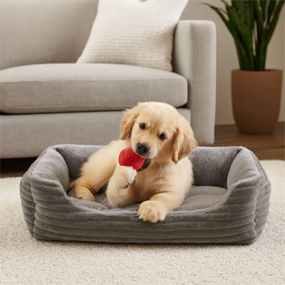 Coussin Chien - PanierToutou™